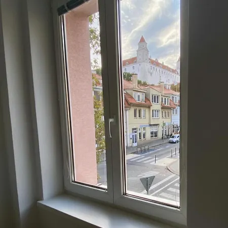 Caste Apartment, 1-4 Guests, Garage, Historical Downtown *